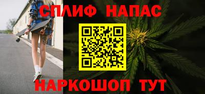 молекула духа Ставрополь