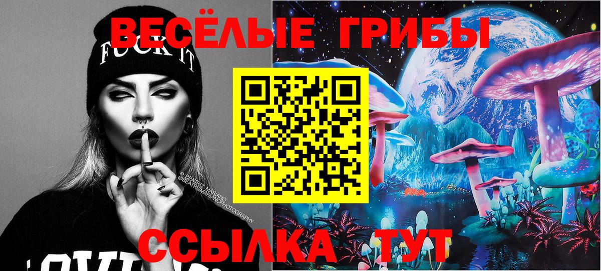 Псилоцибиновые грибы прущие грибы  Вход с VPN  закладка  Наро-Фоминск  Галлюциногенные грибы Cubensis 