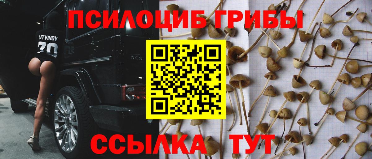 Псилоцибиновые грибы мухоморы Наро-Фоминск